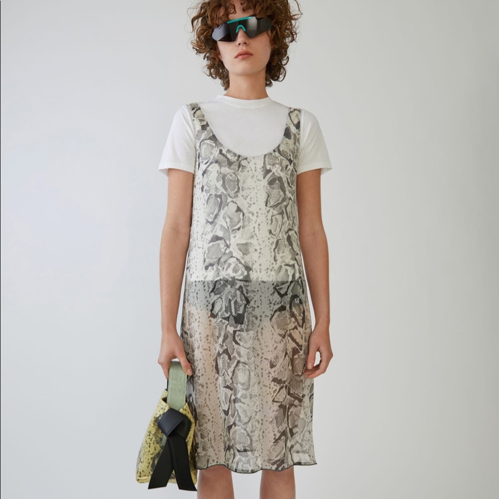 Acne studios sheer dress